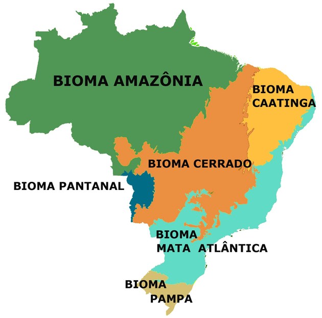 Brazilian Biomes