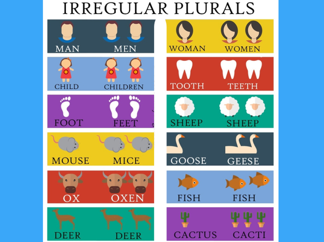 Plural of nouns in English (plural of nouns)