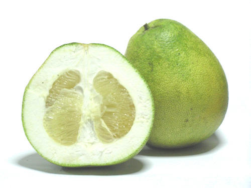 Pomelo, the largest citrus fruit in the world.