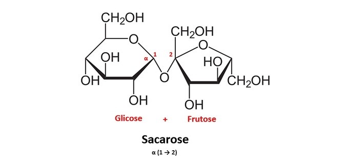 Disaccharides1