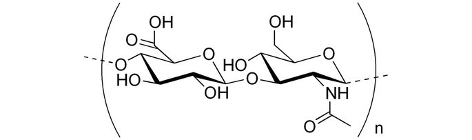 Hyaluronic acid structure