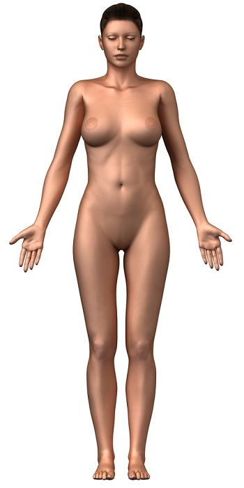 Representation of woman in anatomical position