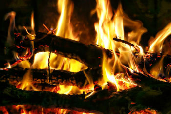 Wood burning is an example of combustion