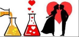 Chemistry of love