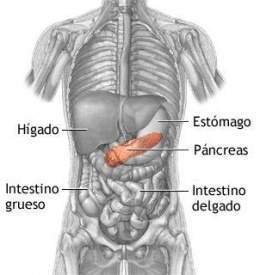 Pancreatic abscess