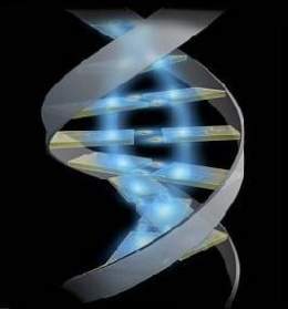 It is a process in which a qualified professional shares information about genetic conditions.